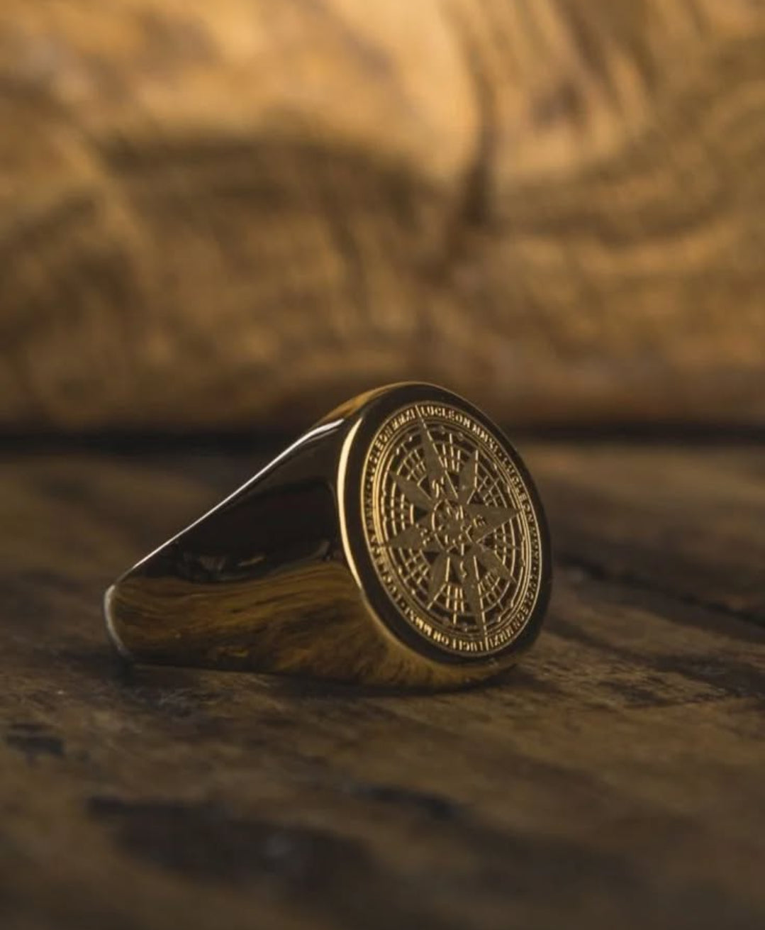 Totem 06 — Meridian Ring