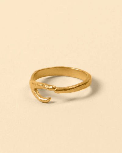 Hook Ring